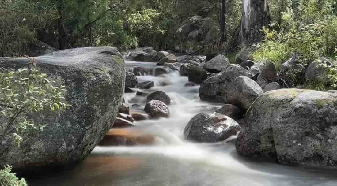 Woods Reserve Campground