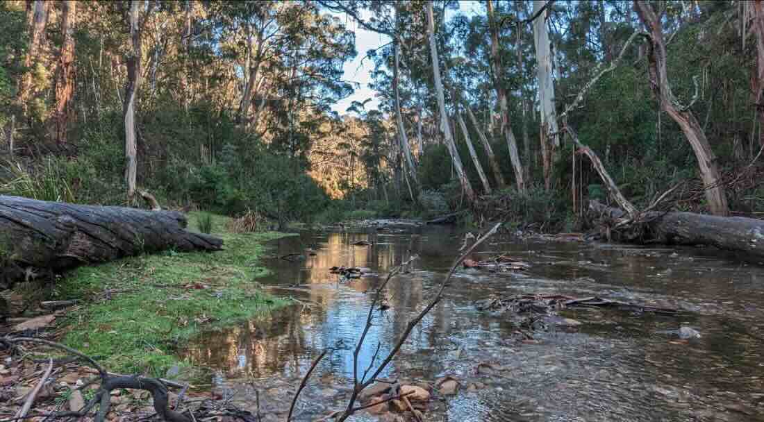 Ambler Lane Campground