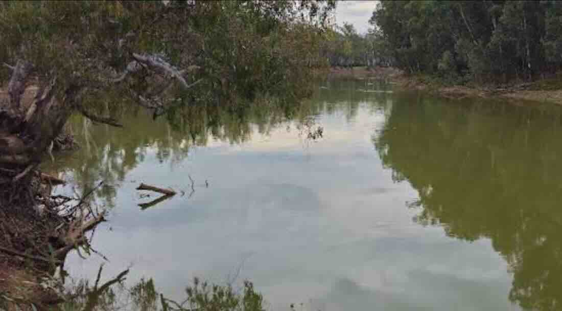 Andrews Hill Camping, Gunbower National Park