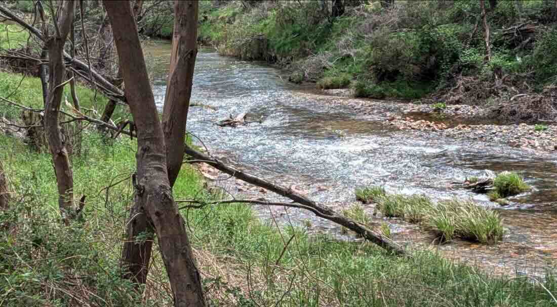 Anglers Rest Campground