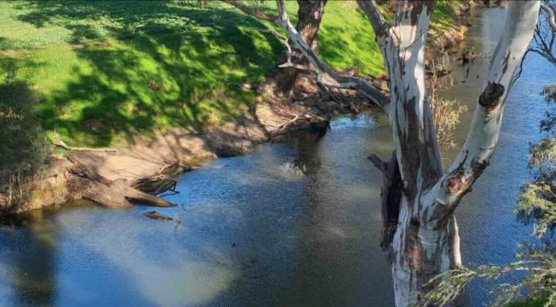 Avonmore Streamside Reserve