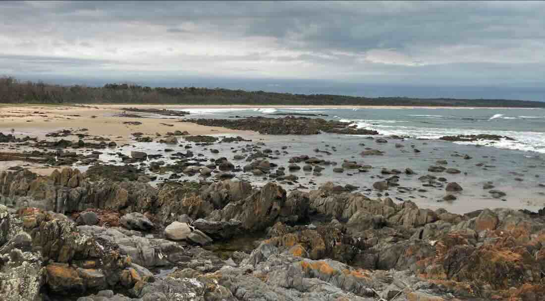 Banksia Bluff Camping