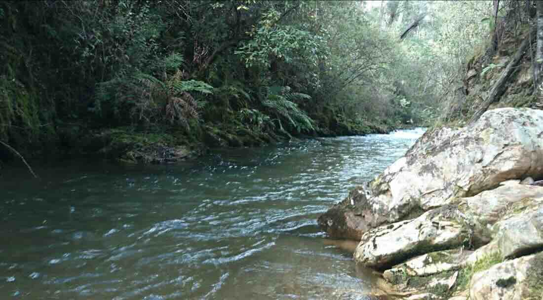 Beveridges Campground