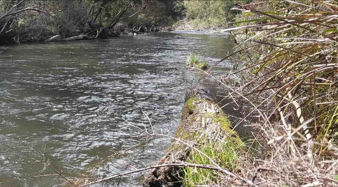 Big Bend Creek Camping Ground