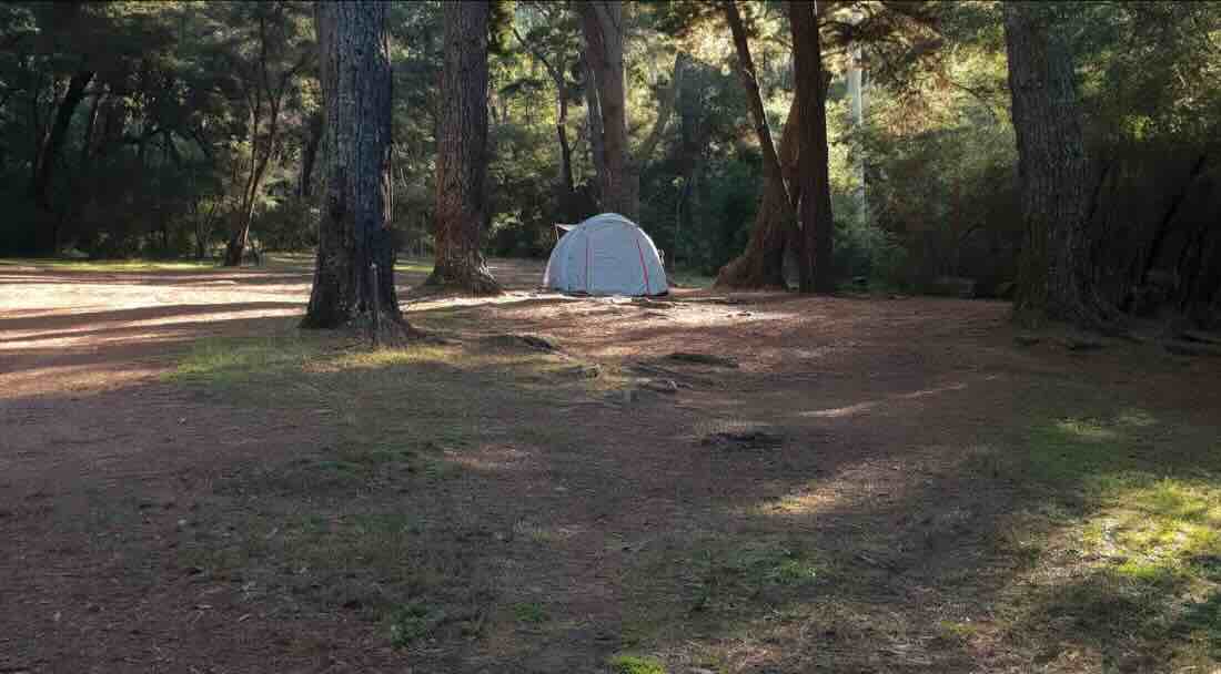 Big River Pines Camping Area