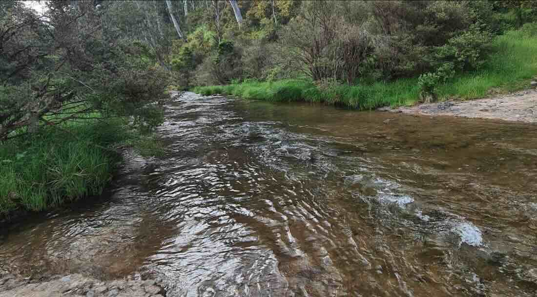 Bindaree Flat Campground