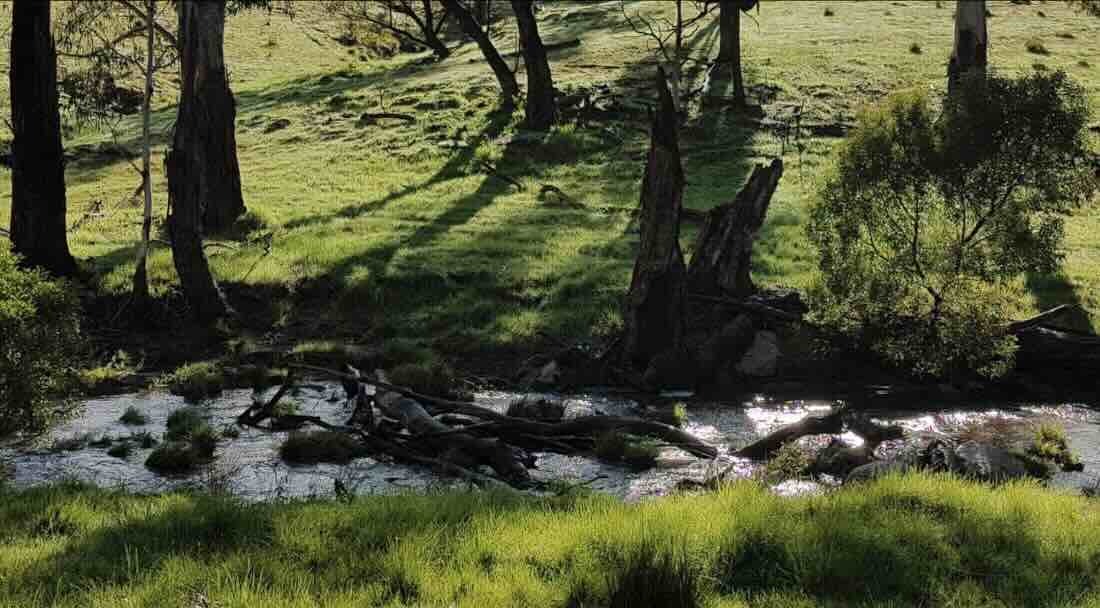 Blue Range Camping Area