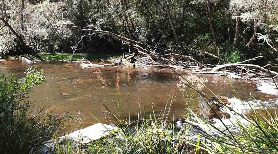 Bobuck Ridge Camping Ground