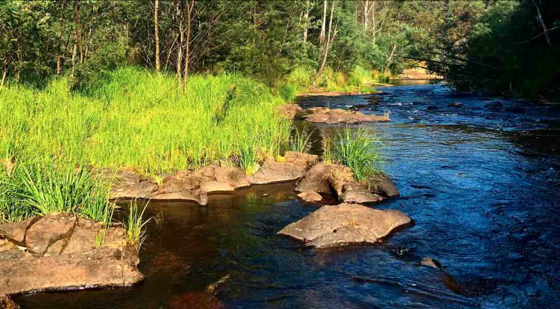Bulldog Flat Campground