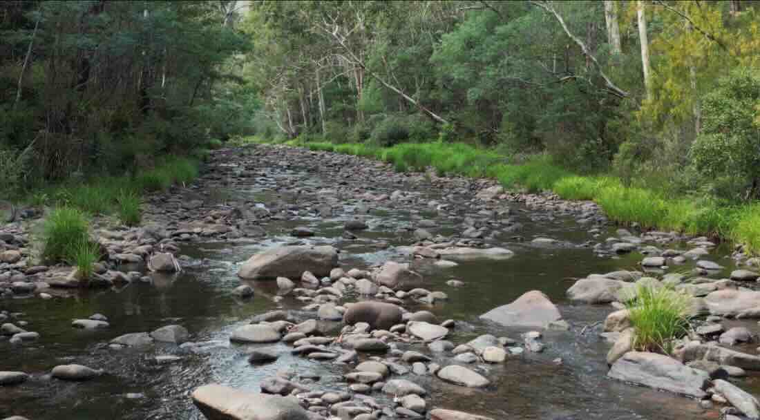 Butcher Country Track Camp Ground