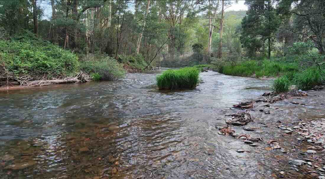 CC Campsite, Knockwood Recreation Reserve