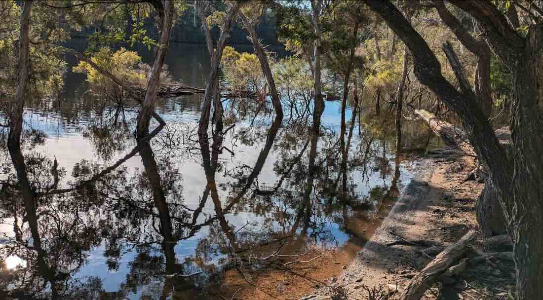 Camerons Arm No.1 Campground