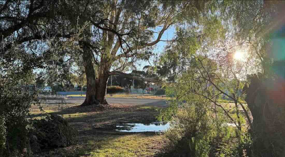 Campaspe Riverside Reserve