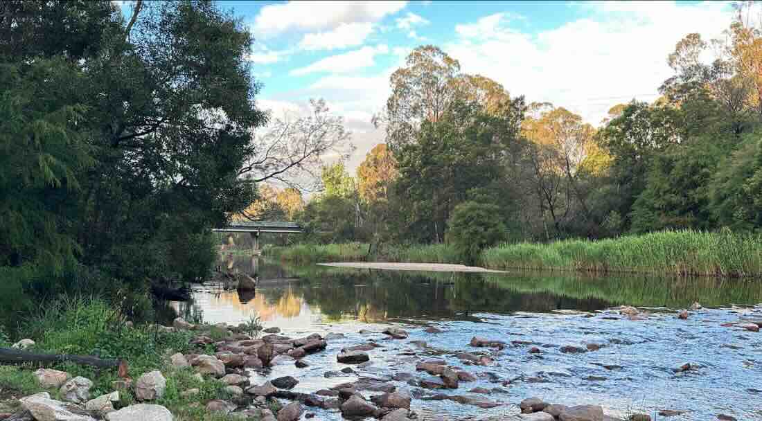 Cann River Rainforest Caravan Park