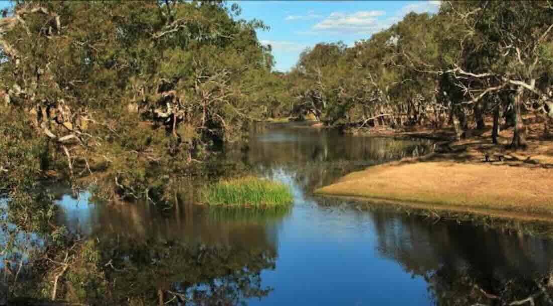 Cavendish Campground
