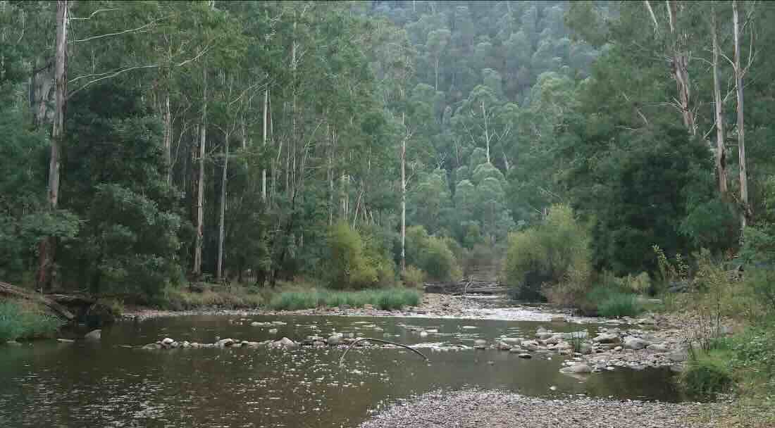 Clear Creek Track Campground
