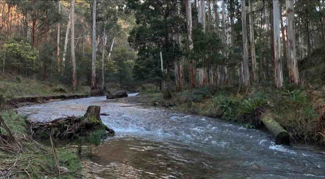 Comet Flat Campground