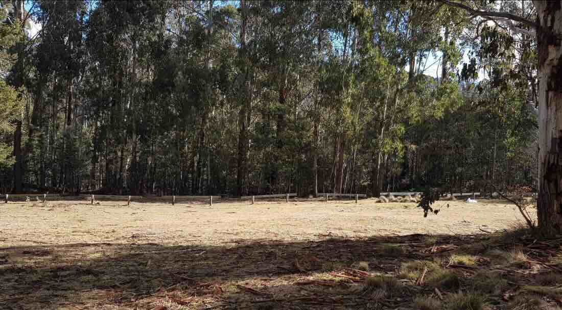 Connors Plain Campsite