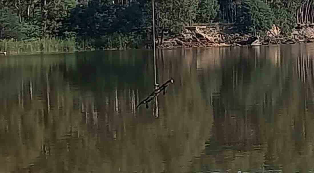 Davis Beach (Tocumwal Regional Park)