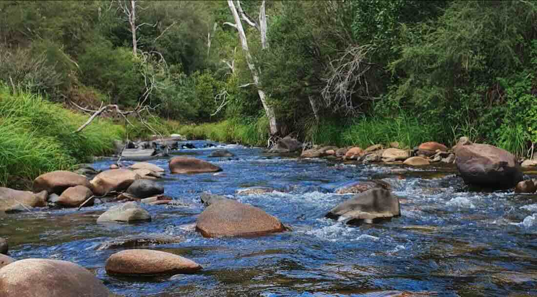 Davon’s Flat Campsite