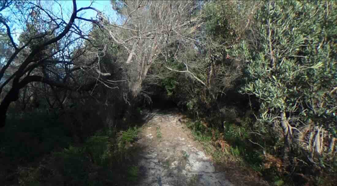 Dock Inlet Camping Area