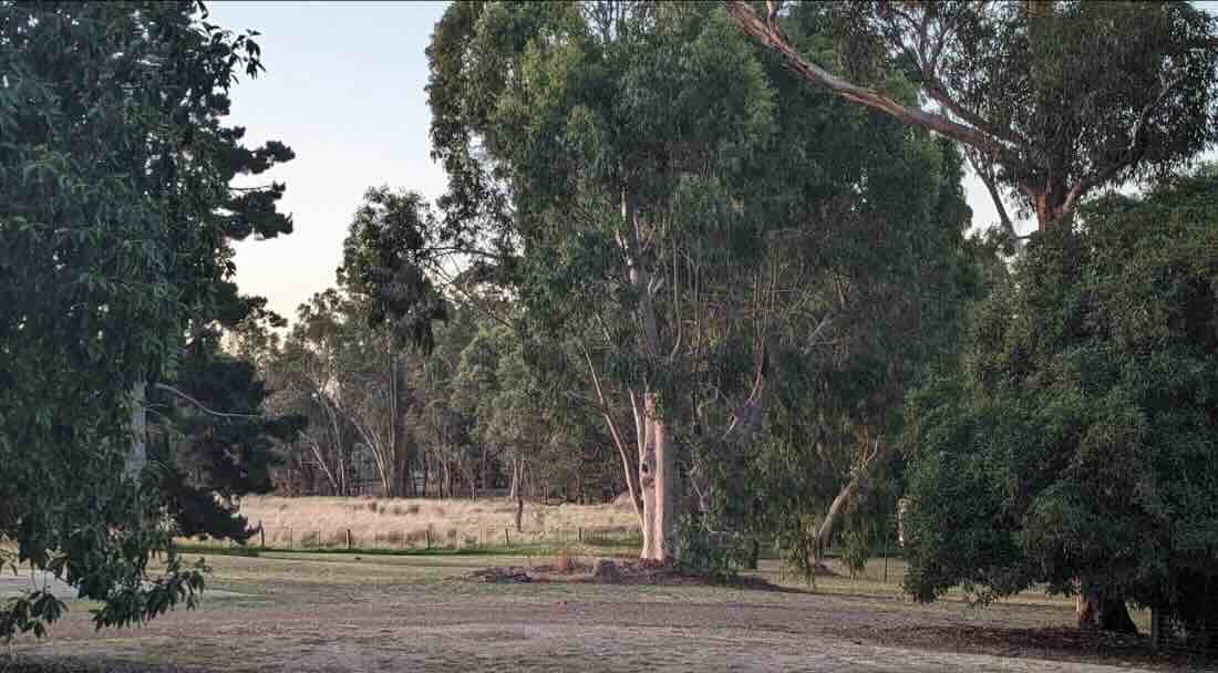 Don Mckenzie Reserve Camping