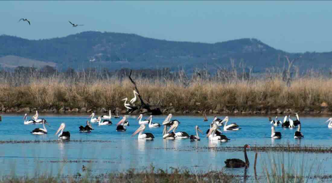 Duck Pond Campground