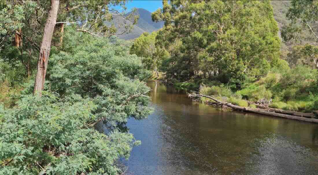 Eaglevale Camping Area