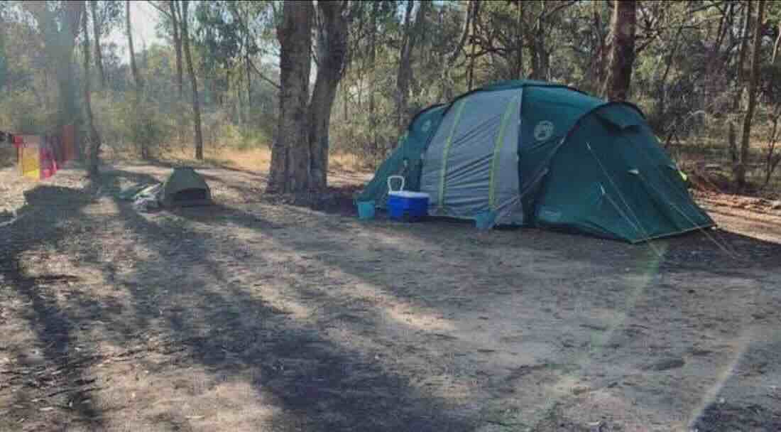 Echuca Fishing Spot For Cod