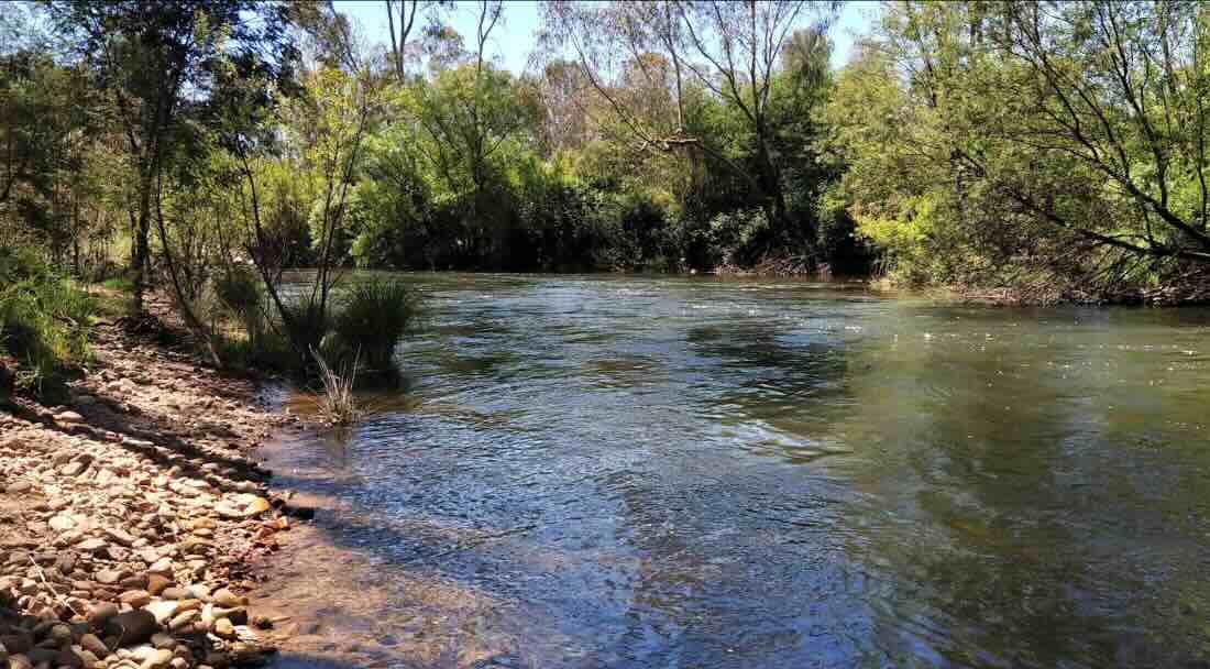 Edi Cutting Camping Ground