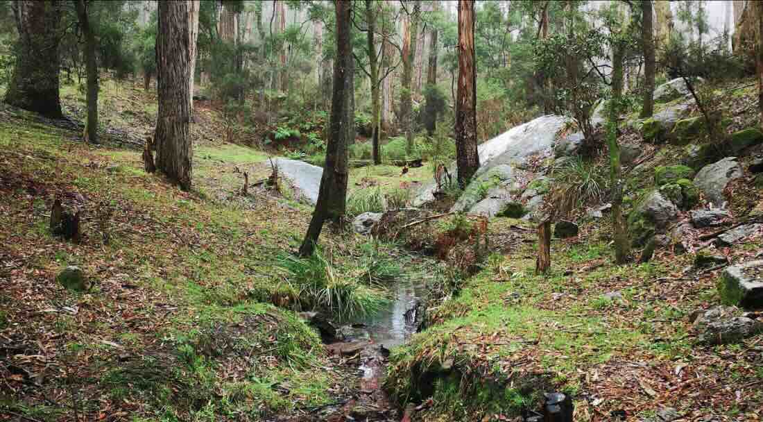 Freemans Camp and Picnic Area