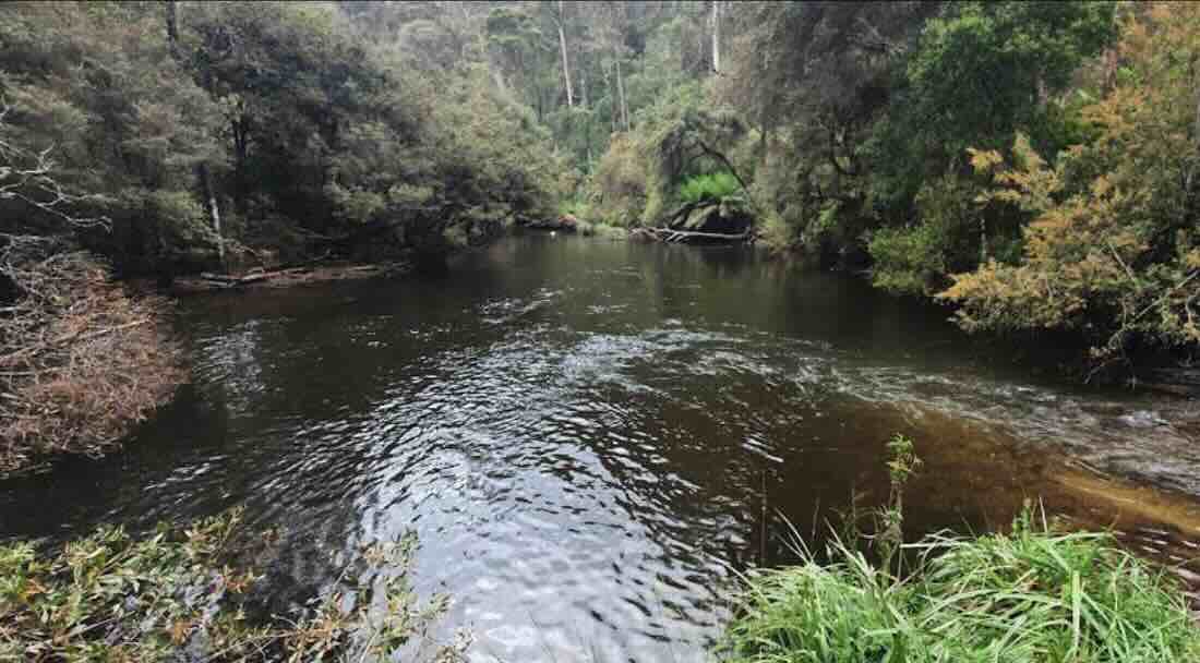 Frenchmans Creek Camping Ground