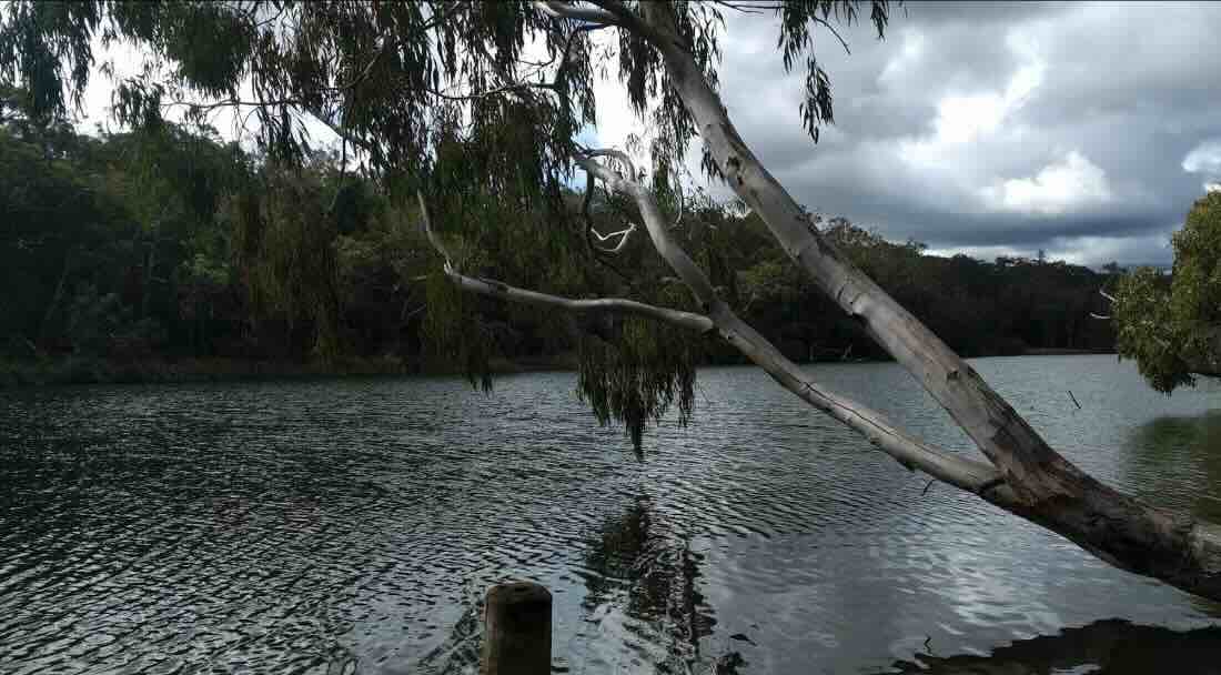 Georges Rest Canoe Camp