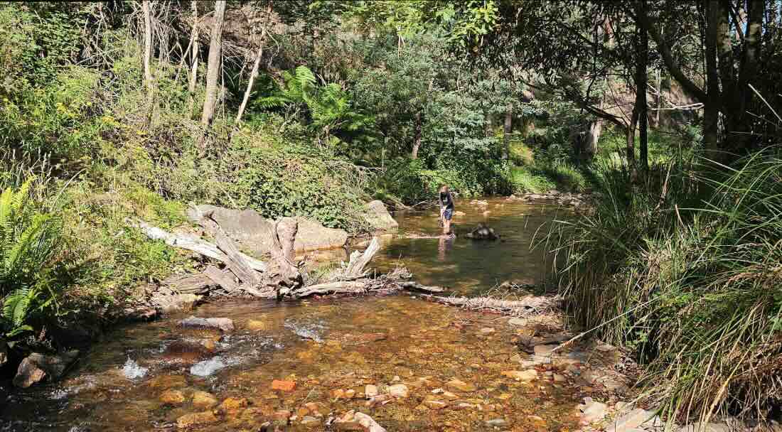 Jack Scott’s Reserve