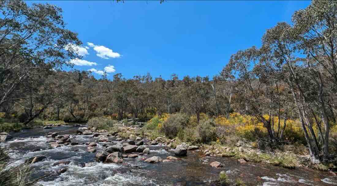 Jokers Flat Campground