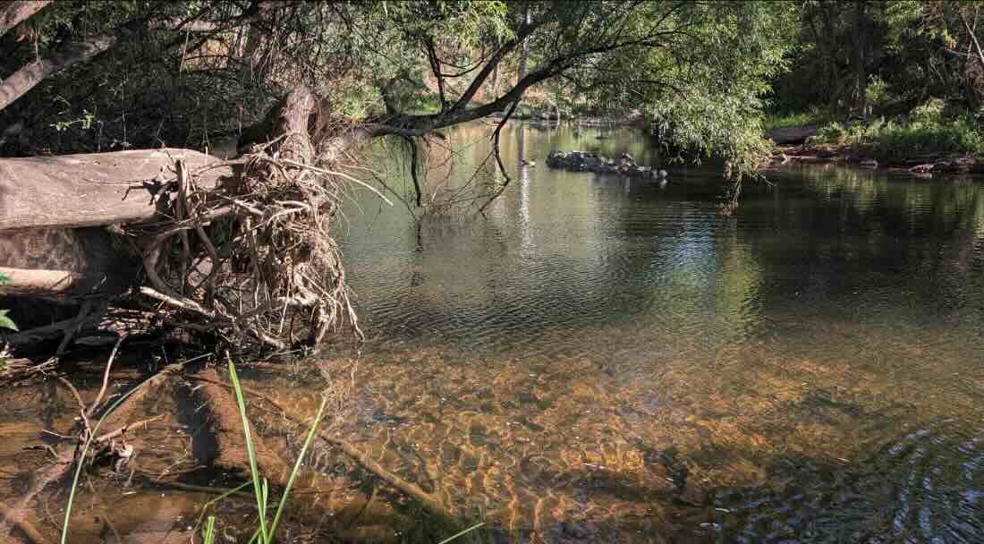 King River Bush Camping