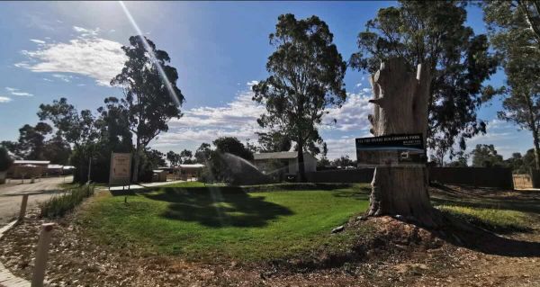 All The Rivers Run Caravan Park - Your Murray River Getaway