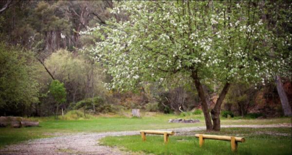 Beechworth Holiday Park, Your Gateway to the Historic High Country