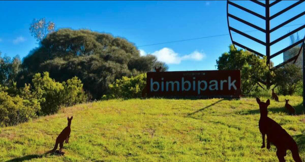 Bimbi Park, A Unique Otways Camping Experience with the Koalas