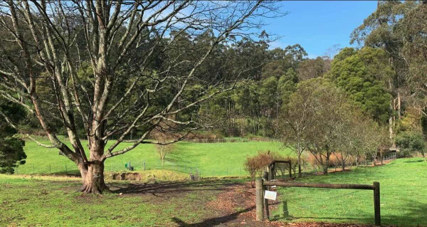 Best Friend Holiday Retreat, The Ultimate Dog-Friendly Getaway in Tarra Valley