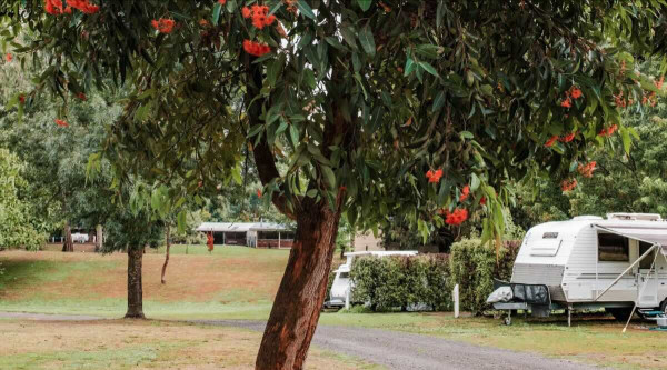 BIG4 Breeze Holiday Parks – Eildon, Your Lakeside Adventure Awaits