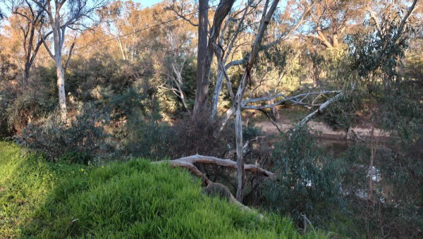 Sky Caravan Park – Murchison Goulburn Valley Camping