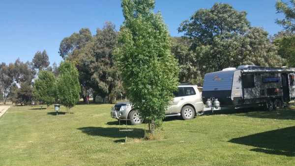 Pental Island Holiday Park – Swan Hill Murray River Escape