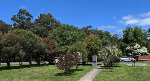 Otways Tourist Park – Your Rainforest Adventure Base