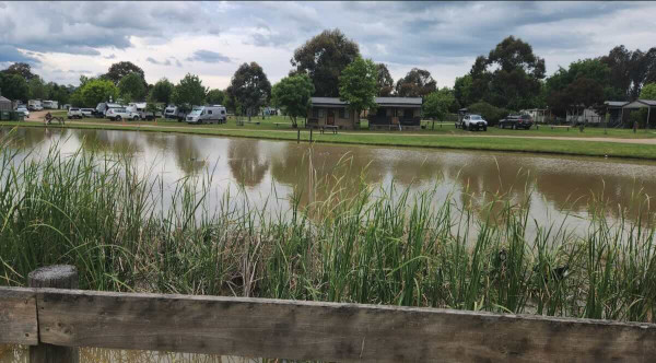 Mansfield Holiday Park – Your Family’s Adventure Base for the High Country