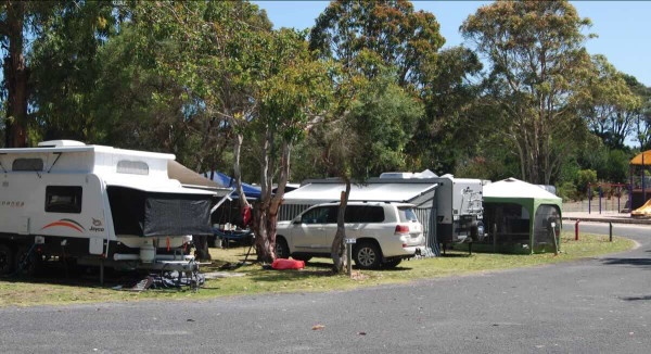 Kywong Caravan Park – A Natural Retreat in Nelson