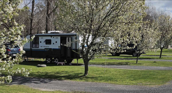 Cobram Willows Caravan Park, Your Murray River Oasis