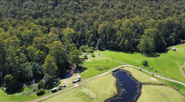 Hazelnut Valley Farm Stay – Working Hazelnut Farm Camping by the Tyers River