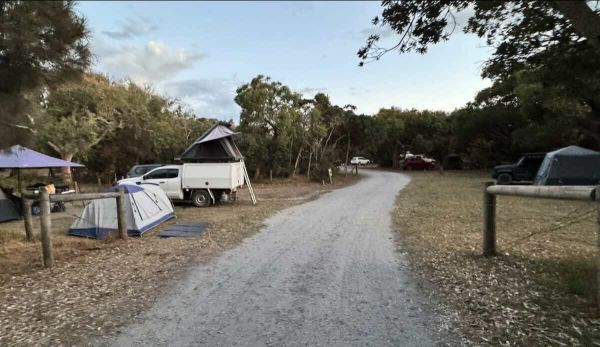 Bear Gully Campground - Coastal Camping & Fishing in Cape Liptrap