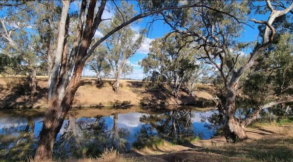 Avonmore Streamside Reserve - Free & Pet-Friendly Camping on the Campaspe